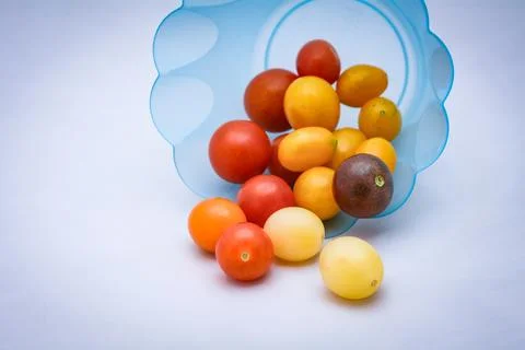 Fresh Cherry Tomatoes on White Studio Background Stock Photos