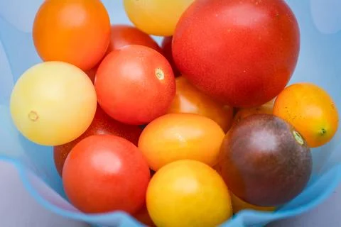 Fresh Cherry Tomatoes on White Studio Background Stock Photos