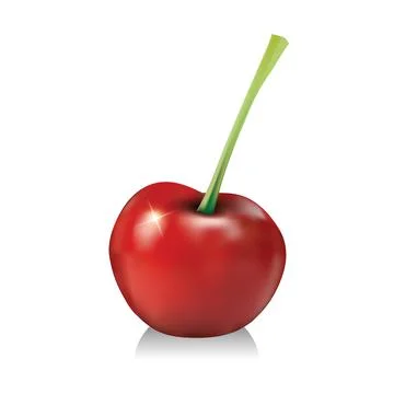 Fresh cherry vector illustration isolated on white Stock-Illustration