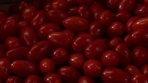 Fresh Chery tomato Stock Footage 143785572