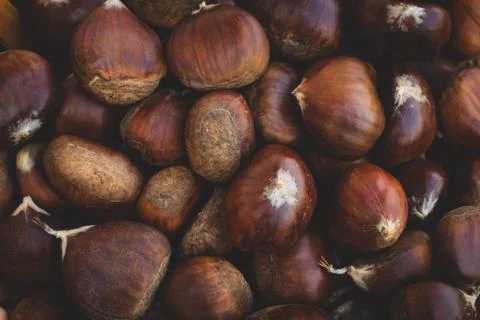 Fresh chestnut close up Stock Photos