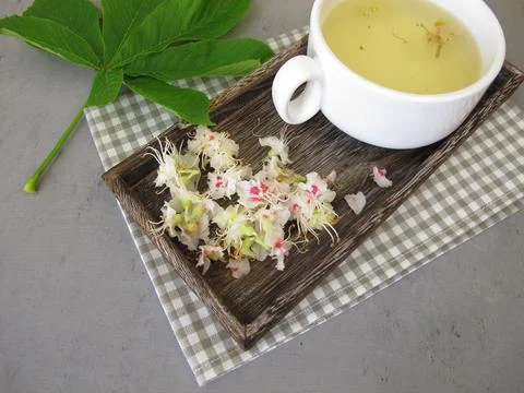 Fresh chestnut tea Stock Photos