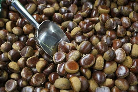 Fresh Chestnuts Full Frame Background Stock Photos