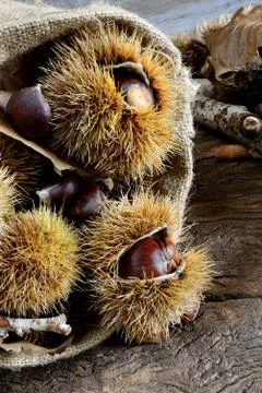 Fresh chestnuts Stock Photos