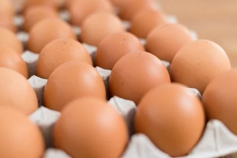 Fresh chicken egg in package Stock Photos