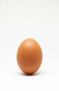 Fresh chicken egg on white background. isolated brown egg. Stock Photos