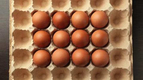 Fresh chicken eggs are placed in cardboard cells. Stop motion. GMO FREE product. Video stock 285336071