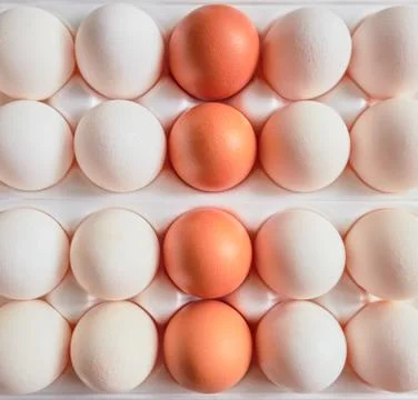 Fresh chicken eggs background. Flat lay close-up view of raw chicken eggs in Stock Photos