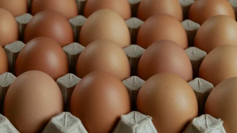 Fresh chicken eggs in cardboard Stock Footage 172147021