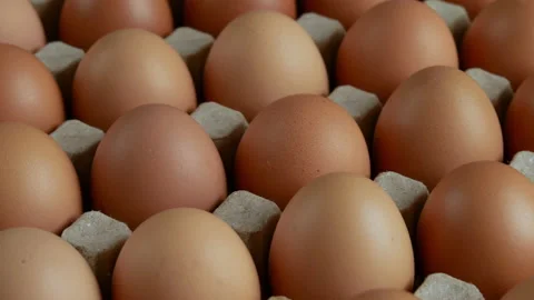Fresh chicken eggs in cardboard Stock Footage 172147034