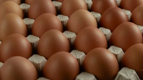 Fresh chicken eggs in cardboard Stock Footage 172147218