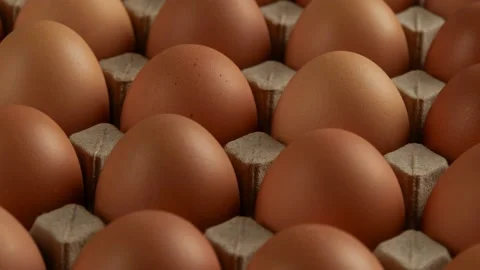 Fresh chicken eggs in cardboard Stock Footage 172147257