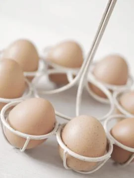 Fresh chicken eggs Stock Photos