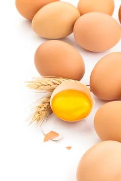 Fresh chicken eggs. Stock Photos