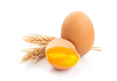 Fresh chicken eggs. Stock Photos