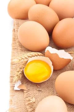 Fresh chicken eggs. Stock Photos