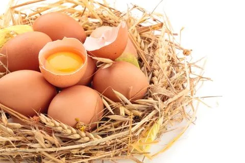 Fresh chicken eggs. Stock Photos