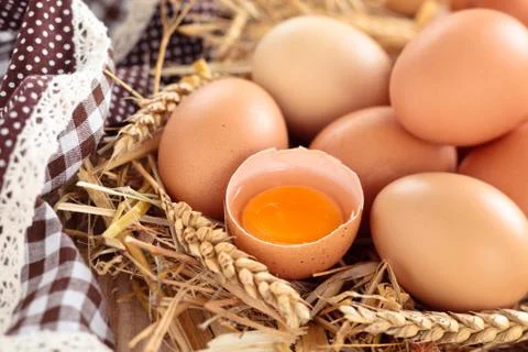 Fresh chicken eggs. Stock Photos