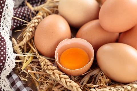 Fresh chicken eggs. Stock Photos