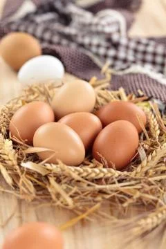 Fresh chicken eggs. Stock Photos