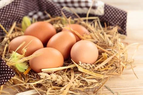 Fresh chicken eggs. Stock Photos