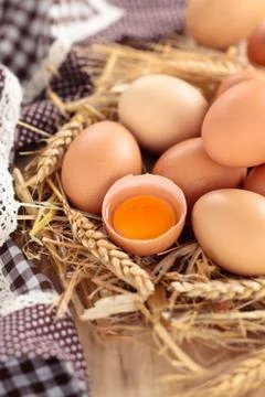 Fresh chicken eggs. Stock Photos
