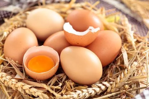 Fresh chicken eggs. Stock Photos