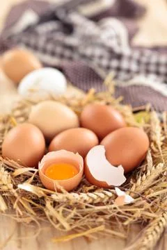 Fresh chicken eggs. Stock Photos