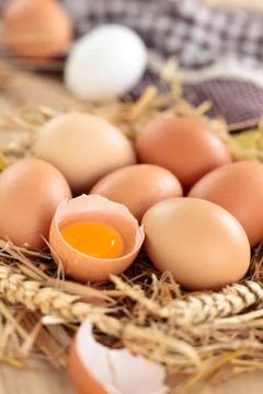 Fresh chicken eggs. Stock Photos