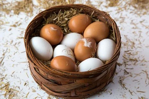 Fresh chicken eggs Stock Photos