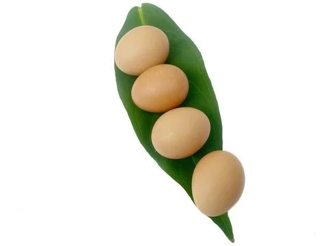 Fresh chicken eggs placed in a white background leaf, suitable for editing... Stock Photos