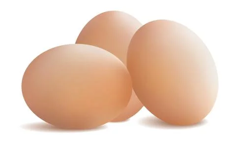 Fresh chicken eggs. Vector illustration . Stock-Illustration