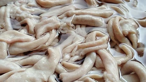 Fresh chicken intestines isolated on a clean background. Stock Footage 337913565
