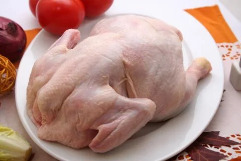 Fresh chicken Stock Photos