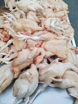 Fresh chicken placed on the table Stock Photos