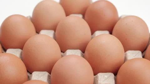 Fresh chicken raw eggs in rows. Close up, shallow depth. Egg production concept. Stock Footage 200092023