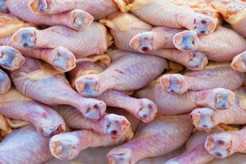 Fresh chickens Stock Photos