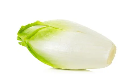 Fresh chicory on a white background Stock Photos