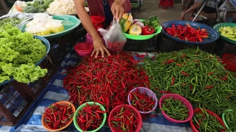 Fresh chili Stock Footage 133744721