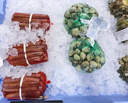 Fresh chilled seafood shells displayed in nets at Spanish supermarket Mercado Foto stock