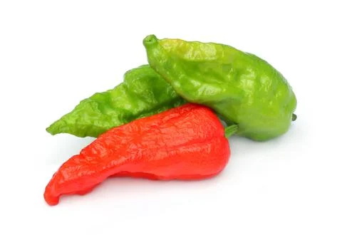 Fresh chilli or  pepper Stock Photos
