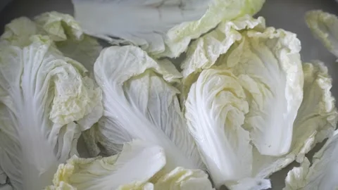 Fresh Chinese cabbage being washed under clean water Stock Footage 337976947