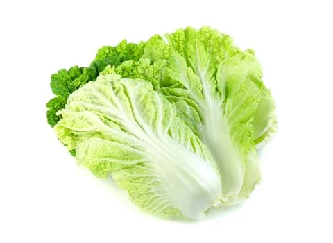 Fresh chinese cabbage leaf isolated on white background ,Green leaves pattern Stock Photos