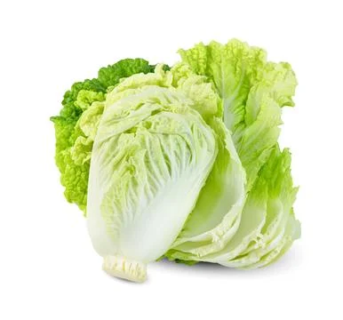 Fresh chinese cabbage leaf isolated on white background ,Green leaves pattern Stock Photos