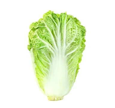 Fresh chinese cabbage leaf isolated on white background ,Green leaves pattern Stock Photos