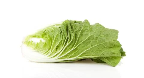 Fresh chinese cabbage Stock Photos