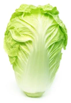 Fresh chinese cabbage Stock Photos
