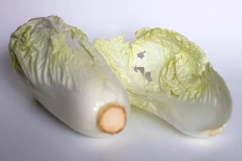 Fresh chinese cabbage on a white background Stock Photos