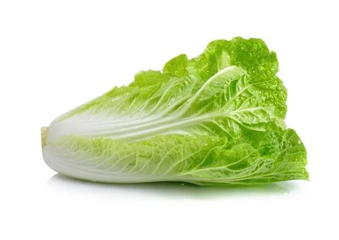 Fresh chinese cabbage on a white background Stock Photos