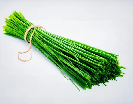 Fresh Chives Isolated on White Background, Allium schoenoprasum Slender Gre.. Stock Photos